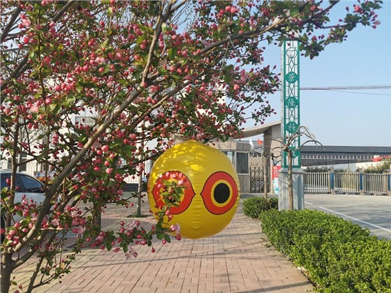 驅(qū)鳥(niǎo)氣球