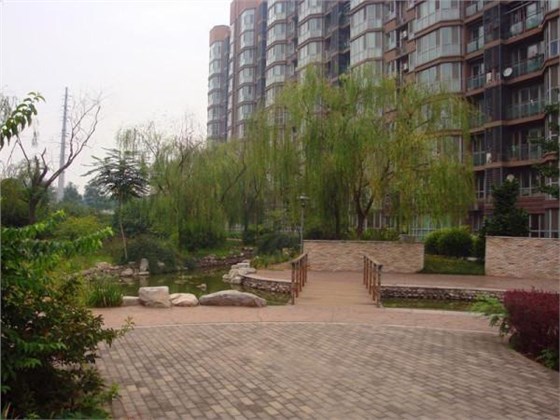 廠家跟你聊聊滅鼠器械那些事兒