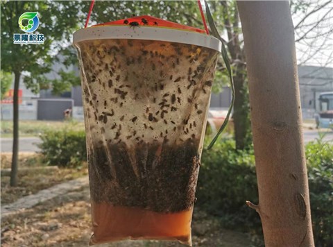 景隆JL-3022捕蠅袋 養(yǎng)殖場(chǎng)戶外滅蠅器懸掛式蒼蠅袋蒼蠅捕捉器