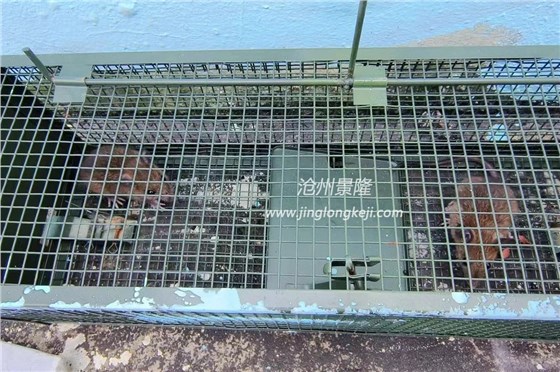景隆雙開(kāi)門(mén)捕鼠籠