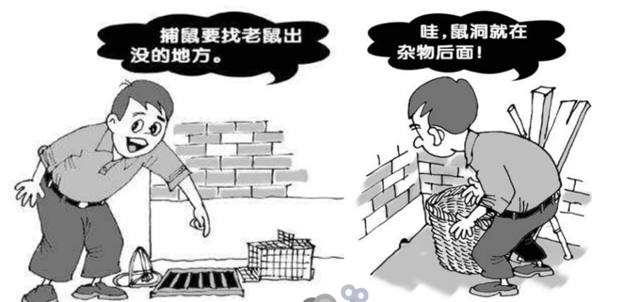 河北捕鼠籠批發(fā)廠家