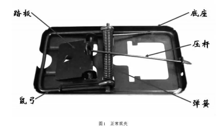老鼠夾的構(gòu)造是怎么樣的