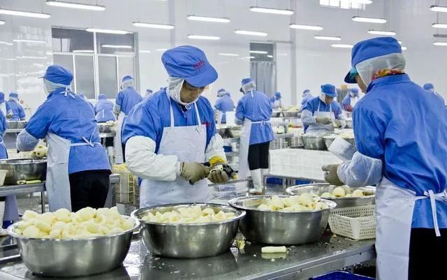 食品廠如何防制蚊蠅？北京滅蠅燈廠家為您支招