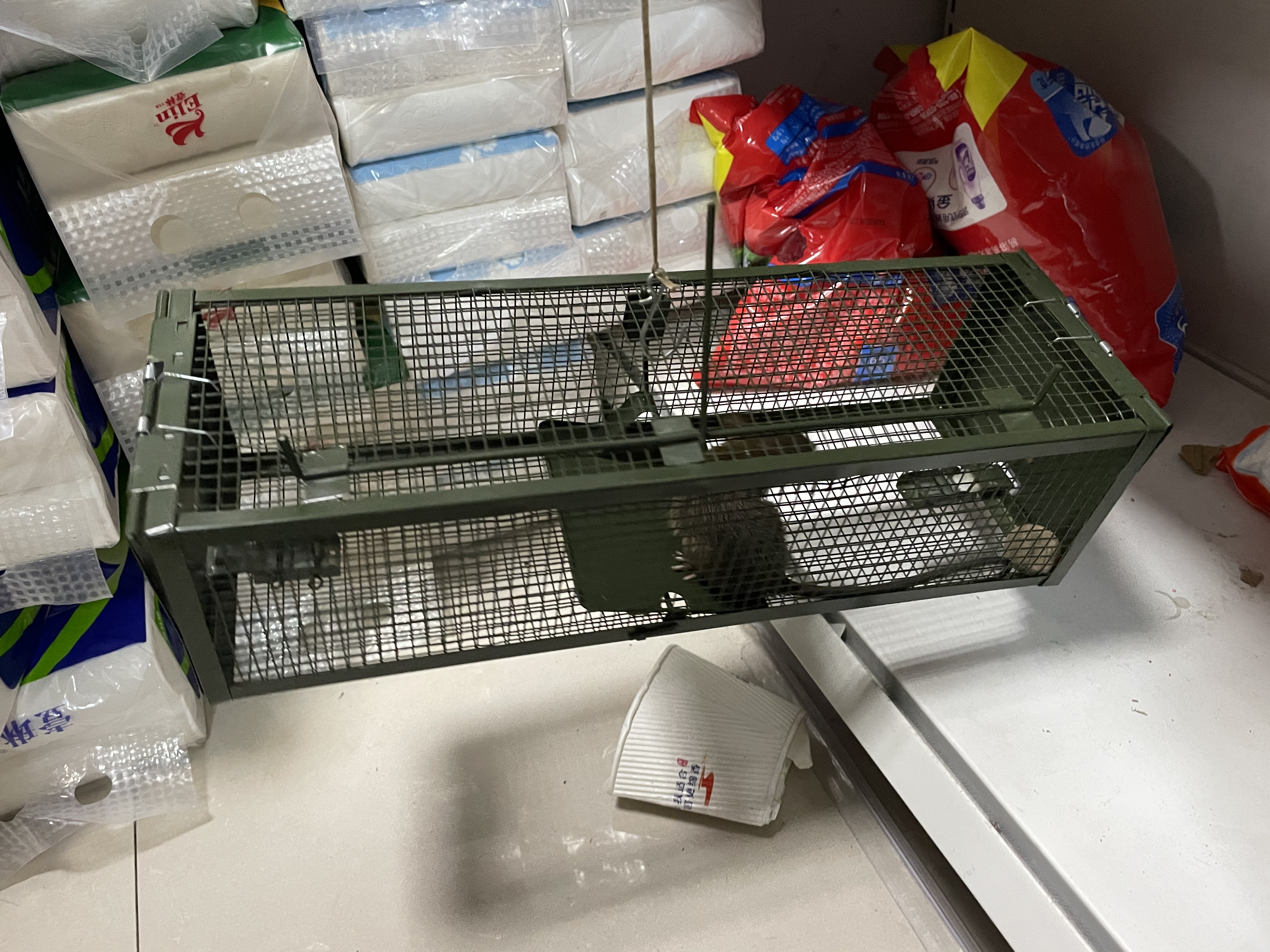 景隆雙門捕鼠籠