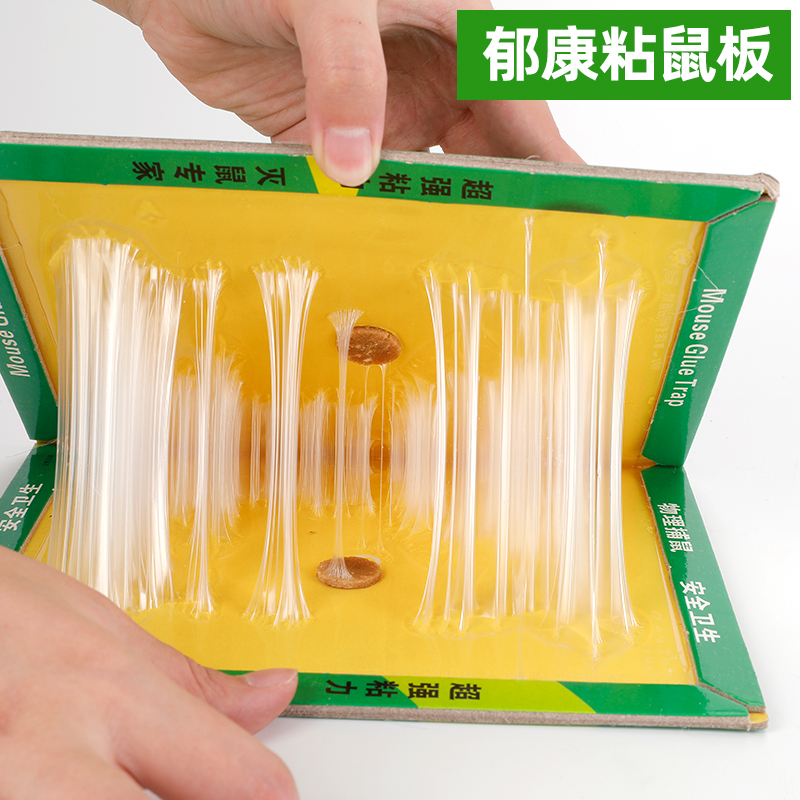 蟲控公司使用粘鼠板的布置技巧