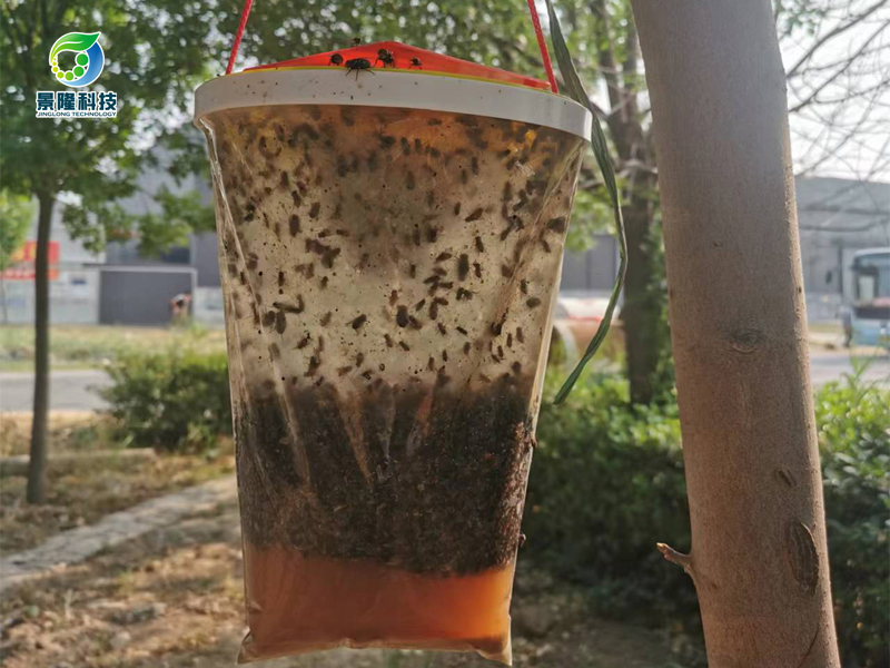 養(yǎng)殖場(chǎng)蒼蠅捕捉器